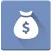 Viindoo Budget icon