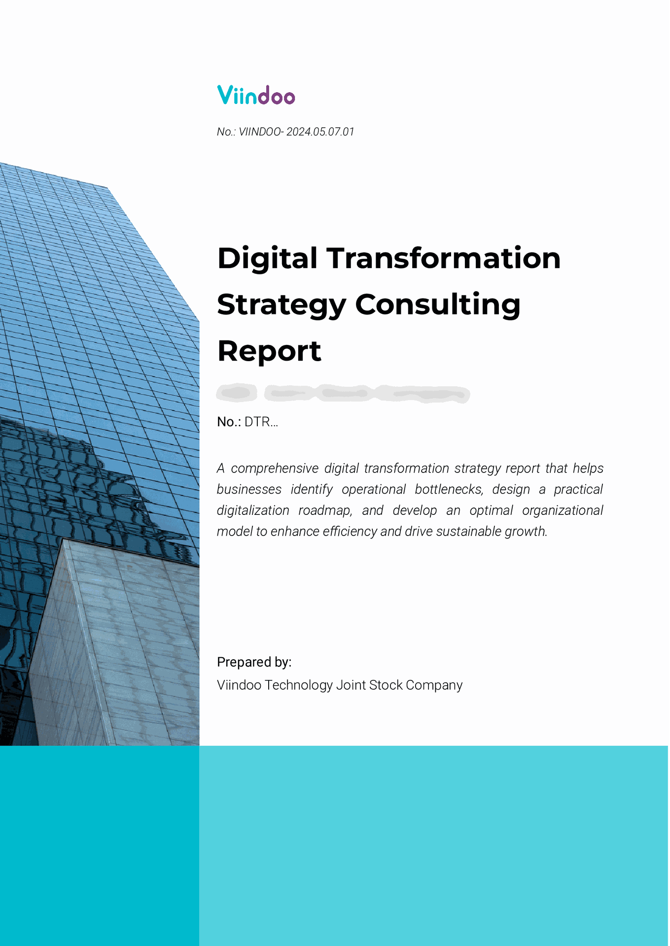 Viindoo Digital Transformation Strategy Report