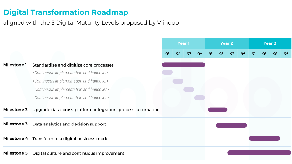Viindoo Digital Transformation Roadmap