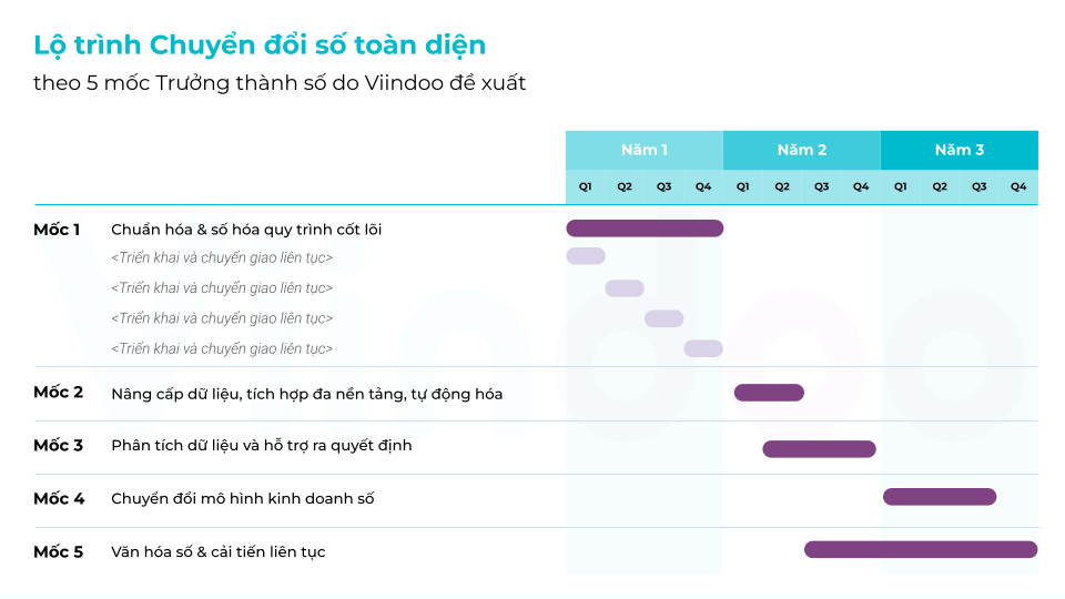 Lộ trình Triển khai Chuyển đổi số toàn diện - Viindoo