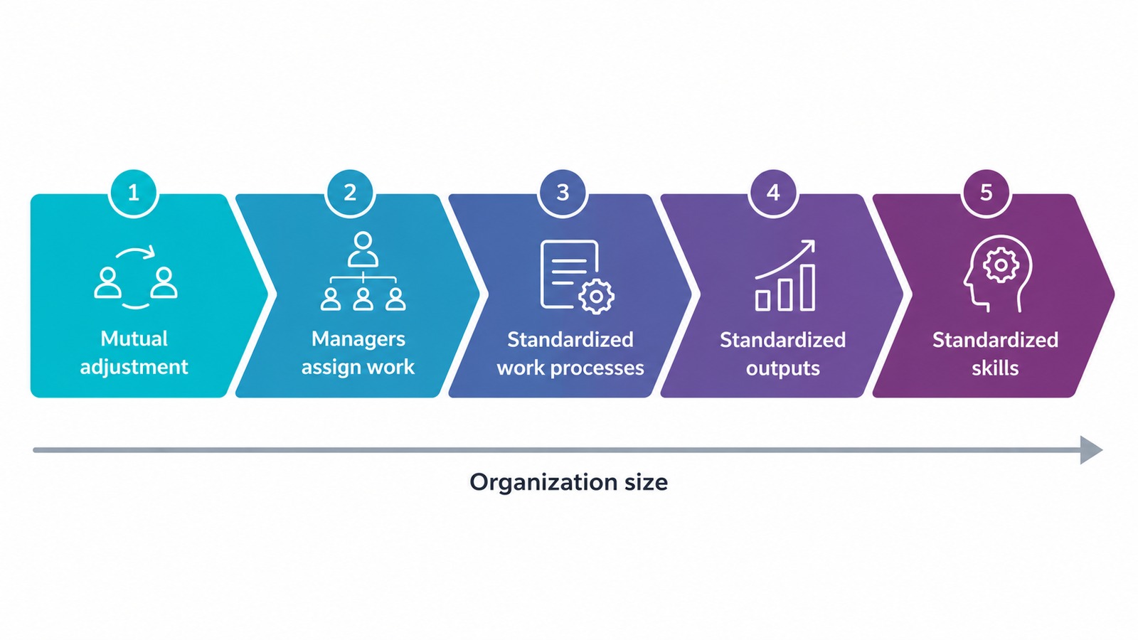 Five ways an organization coordinates work, ordered by organization size