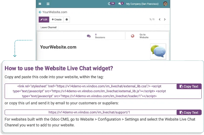 Send live chat urls to get supported and quick responses - Viindoo Live Chat