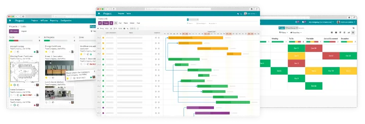 Viindoo ERP interface on the SaaS platform