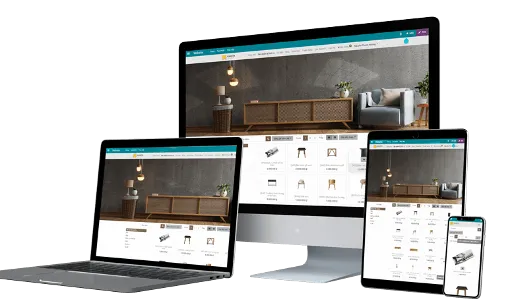 Viindoo e-Commerce compatible with multiple devices