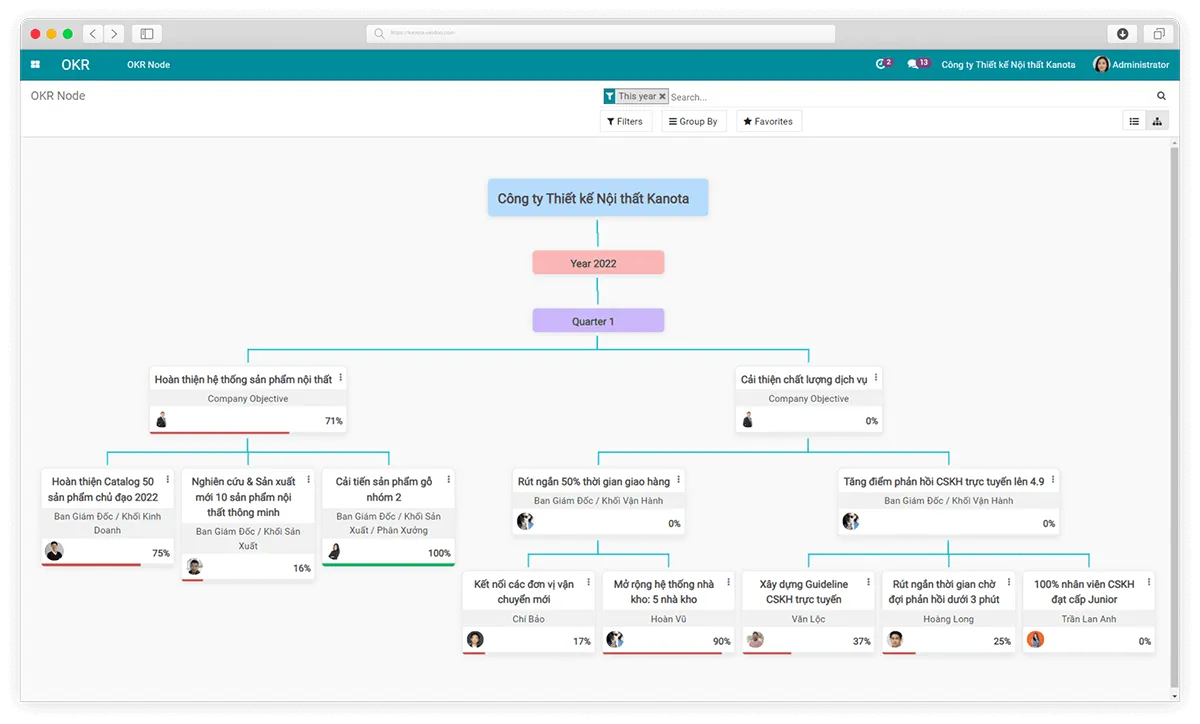 Organization view of Viindoo OKR