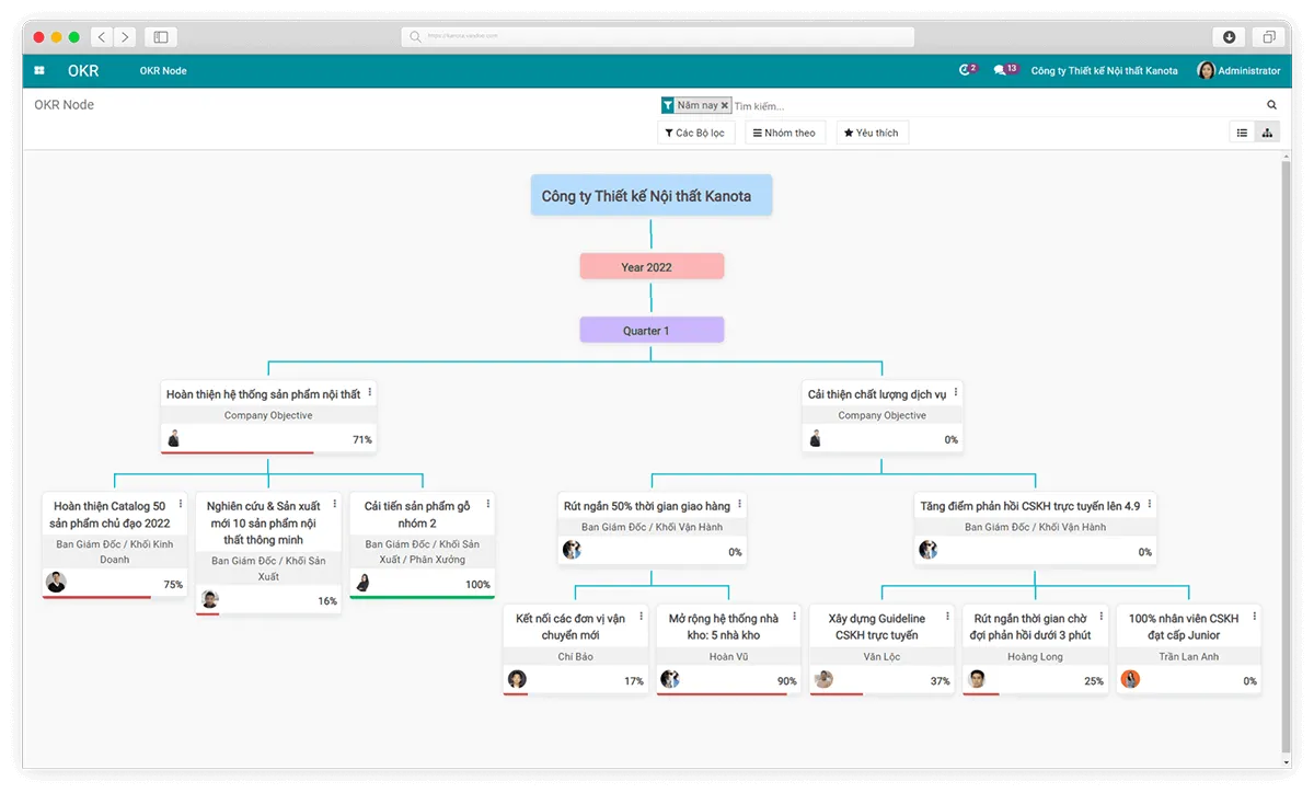 Organization view of Viindoo OKR