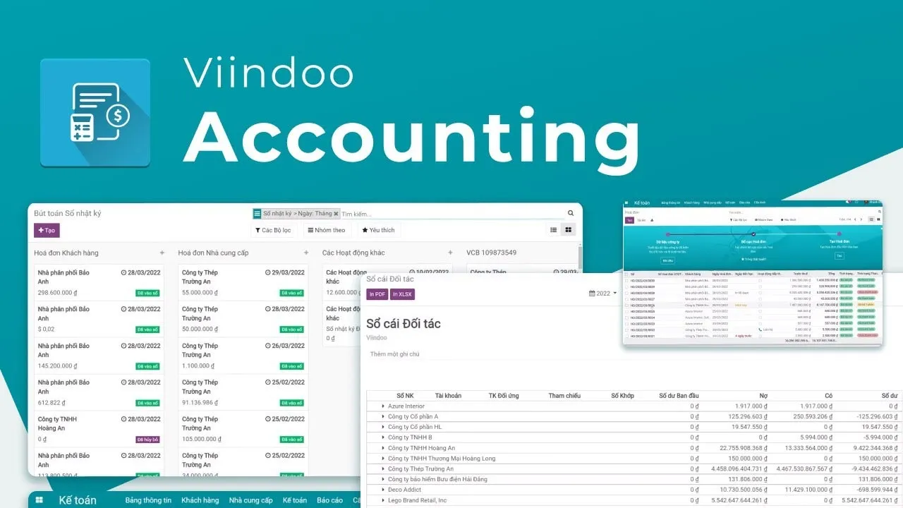 Viindoo accounting software overview