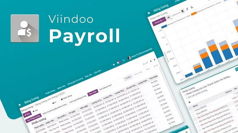 Viindoo Payroll